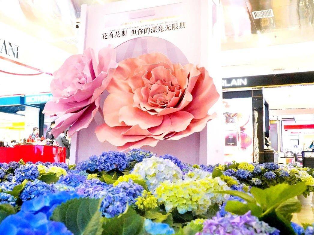 17421906654410120461046_785