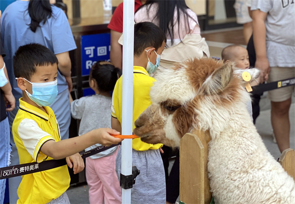 JDB电子·(中国区)试玩平台-JDB电子游戏官网