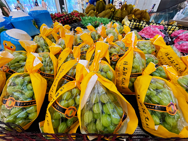 JDB电子·(中国区)试玩平台-JDB电子游戏官网