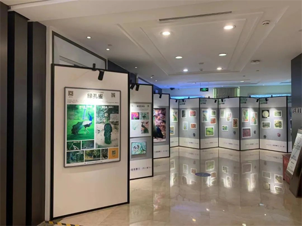 JDB电子·(中国区)试玩平台-JDB电子游戏官网