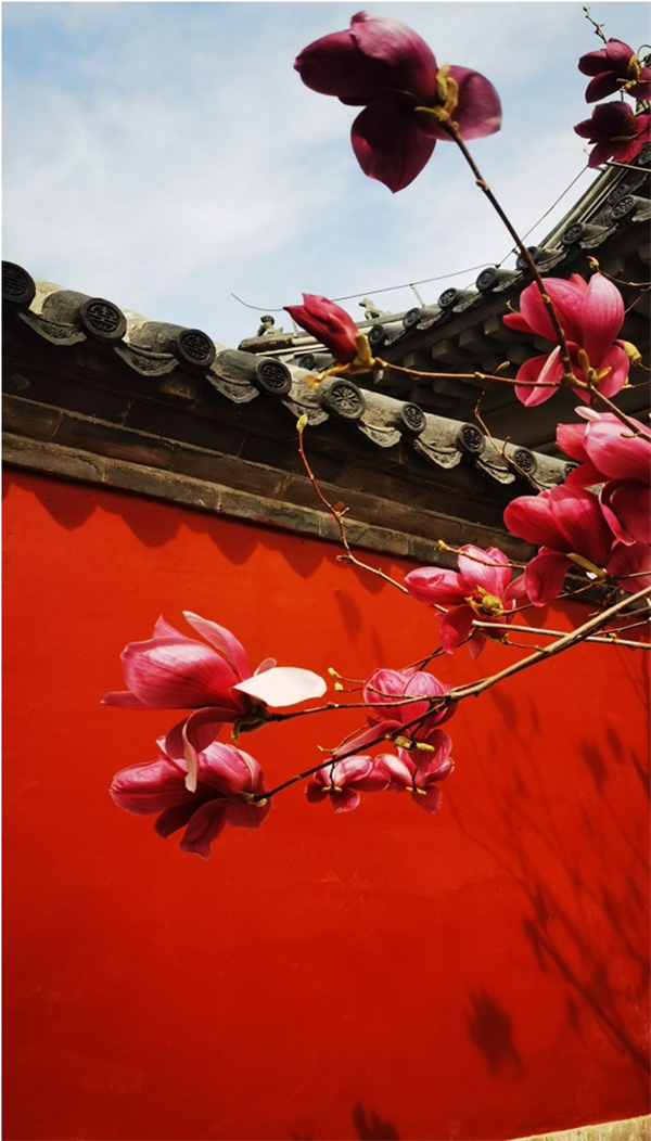 JDB电子·(中国区)试玩平台-JDB电子游戏官网