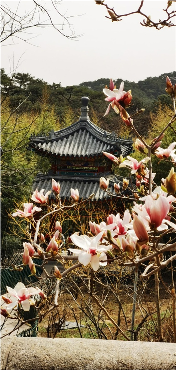 JDB电子·(中国区)试玩平台-JDB电子游戏官网