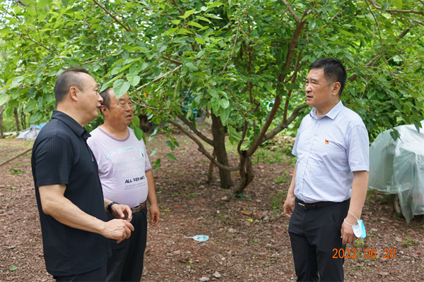 JDB电子·(中国区)试玩平台-JDB电子游戏官网