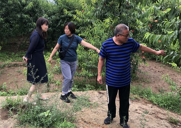 JDB电子·(中国区)试玩平台-JDB电子游戏官网